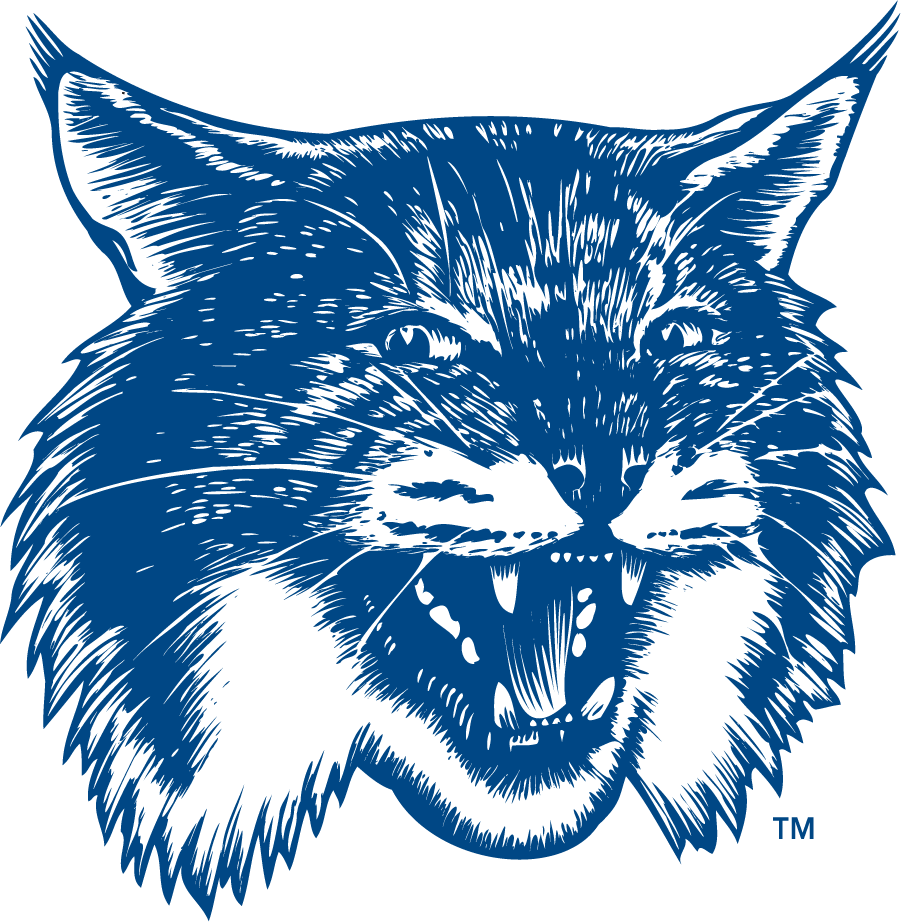 New Hampshire Wildcats 1993-2000 Secondary Logo v3 DIY iron on transfer (heat transfer)